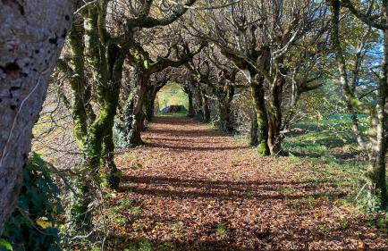 Manoir de Brillac - Luxury East Wing Gîte - Photo 22