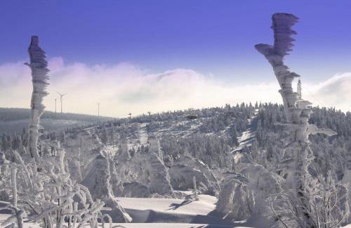 Ferienwohnung-Panoramablick - Foto 25