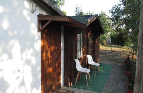 Bungalow "A Choupana" - Quinta da Carvoíça - Vale Pradinhos - Foto 8