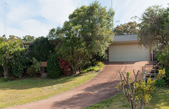 Wildflowers at Fingal Bay - Photo 13