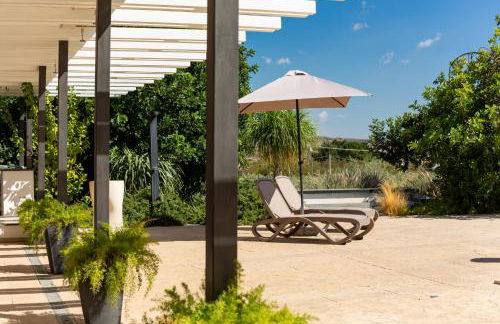 Oikos in Terre di Zaccanello - Foto 158