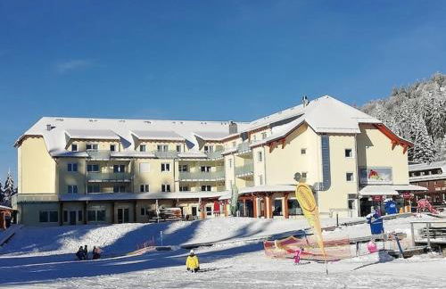 Feldberg Kuschelnest - Residenz Grafenmatt - Foto 48