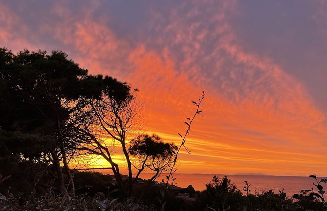 Villetta La Risacca - fronte mare - seafront - Foto 76