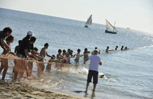 Le Mieukerien - Réserve africaine 15 mn - Plage 200 m - Foto 25