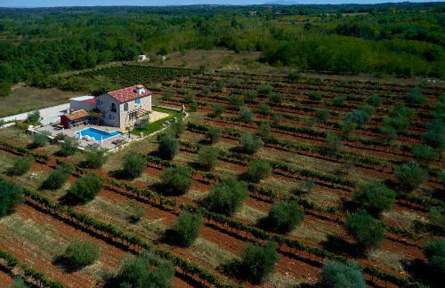 Relax house surrounded by olives and vineyard - Photo 53