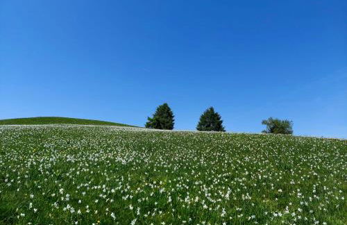 LA POESIA DOLOMITI APARTMENTS - Photo 54