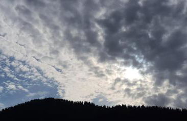 La Riega Del Peral - Foto 8