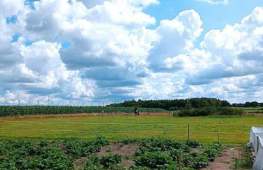 Ferienhaus Bonishof - Foto 73