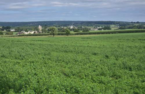 Amish Country Stay w/ Buggy Ride - Foto 8