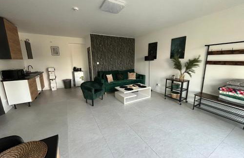 Koniec Świata Stare Sady apartament - Foto 4