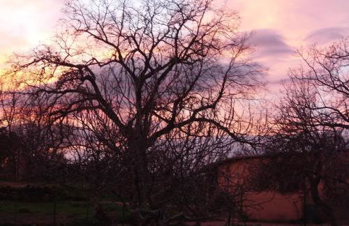 Apartamentos Rurales Ecopangea - Foto 9