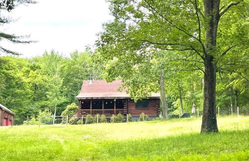 Log Cabin at the Goat Sanctuary - Foto 50