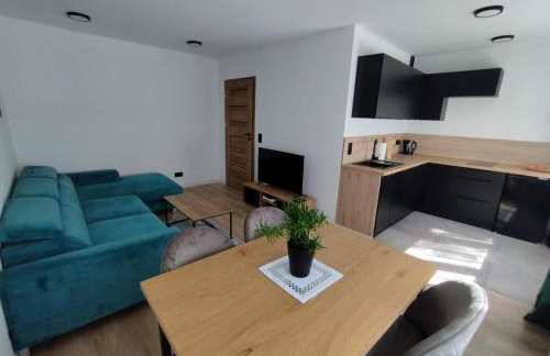 Mieszkanie 11 Listopada - Foto 10