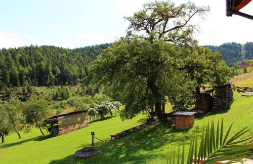 Nad Zalewem - Foto 20