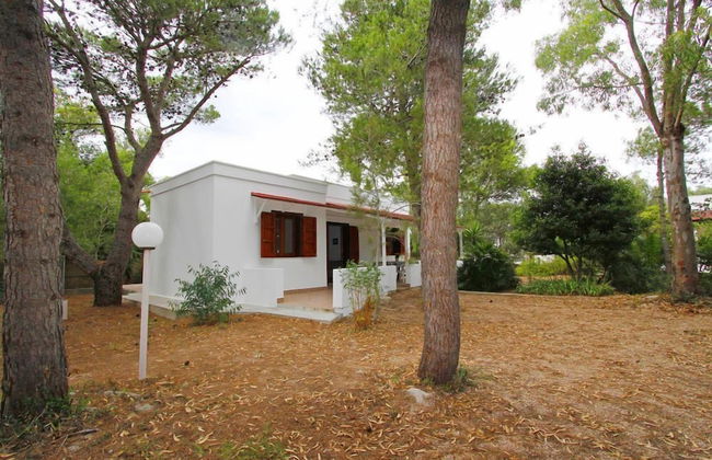 Tenuta la Saracina - Foto 68