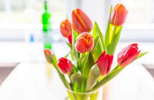 Pension Talblick - Photo 10