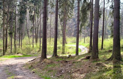 Dom pod Agatową Skałą we Wleniu - Foto 24