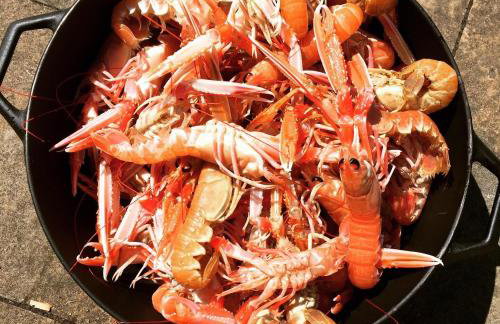 mill house steading overlooking the sea and mull - Foto 39