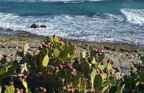 Casa vacanza Blue Marine - Foto 15