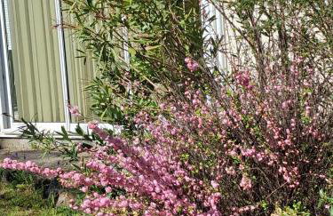 Maison Familiale 6 pers - Orouët - Foto 7