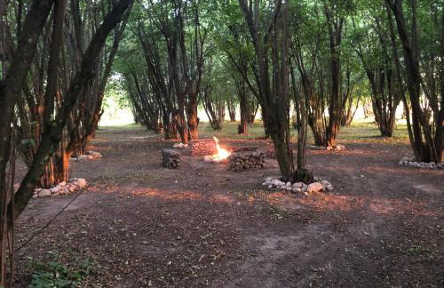 Kocyłówka - Photo 3