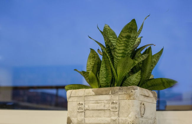 Panorama Villa - Foto 2