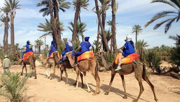 Marrakech Palm Grove Camel Ride - Foto 2