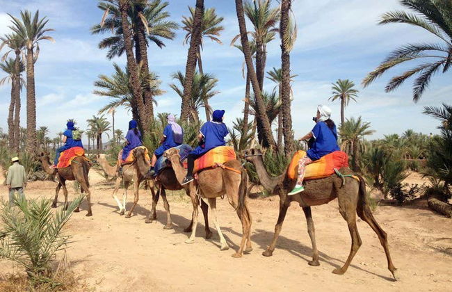 Marrakech Palm Grove Camel Ride - Foto 2