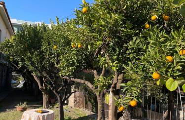 Peculiar Garden Apartment - Photo 40