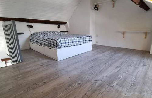 Au perchoir duplex dans le centre historique - Foto 12