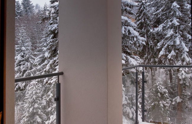 Apartamenty Sun & Snow Zielony Las - Foto 73