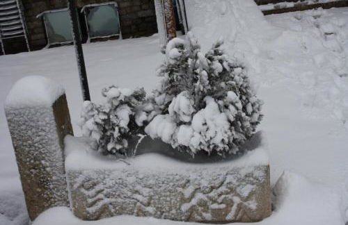 Apart-Hotel Selva Nevada - Foto 52