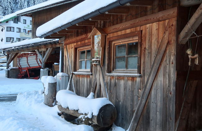 Haflingerhof Enzian - Foto 35