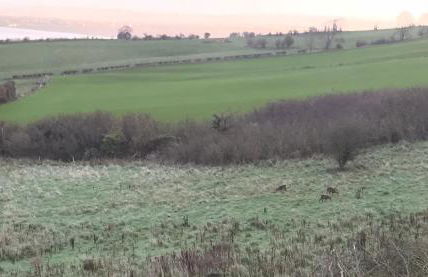 Carrick Hills Cosy Croft STL SA-00137-F - Foto 18