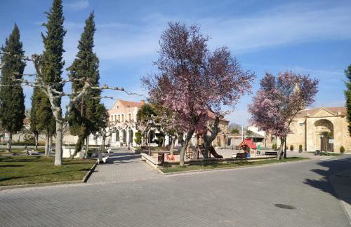 VEGA-ARANDA - Photo 35
