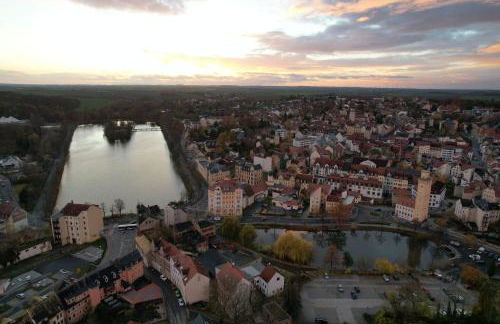 Ferienwohnung Teichidyll Altenburg - Foto 18