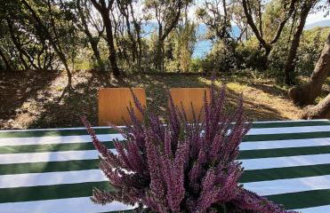 Tuscan seafront apartment with private access to sea - Foto 27