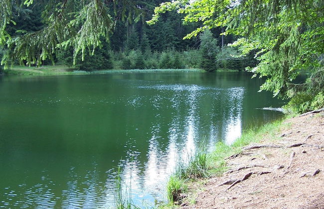 Gruppenhaus mit Sauna bis zu 18 Personen - Foto 37