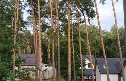 Apartamenty Woda i Las - Foto 38