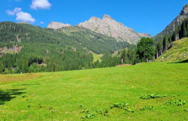 Appartamento con terrazza vista Pale di San Martino - Foto 20