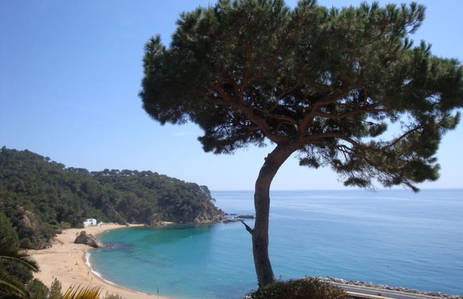 107523 - House in Cala Canyelles - Foto 19