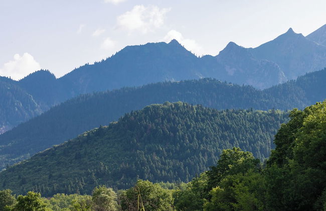 Natura Chalets - Foto 78