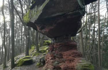 Ludwig im Künstlerhaus - Foto 21