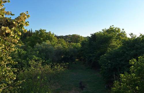 A Sense of Calm & Relaxation - Foto 38