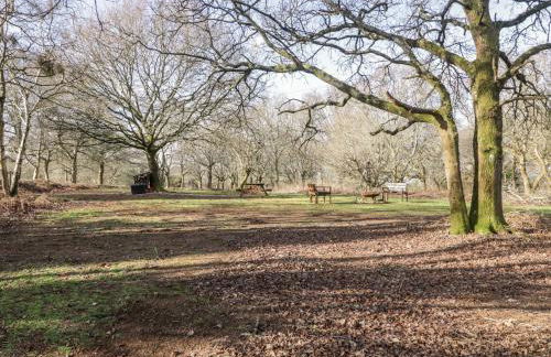 Deer Lodge - Photo 30