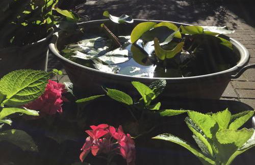 Ferienwohnungen In de goldisch Luft - Foto 10