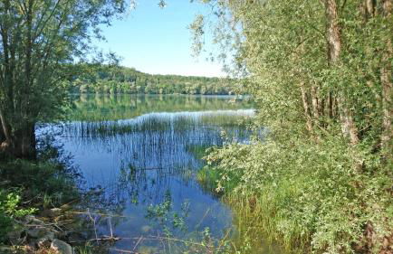 Les Carmes - Photo 25