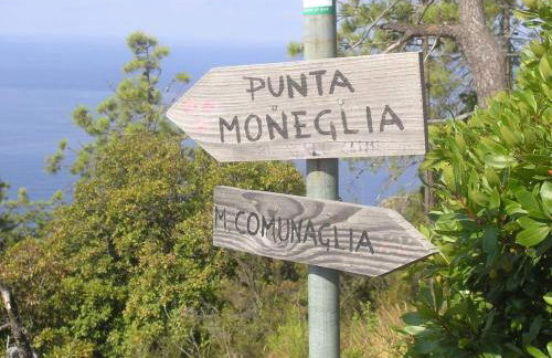 Villa Venino - Foto 32