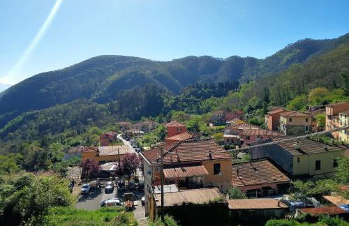 Casa dei fiori - Foto 13