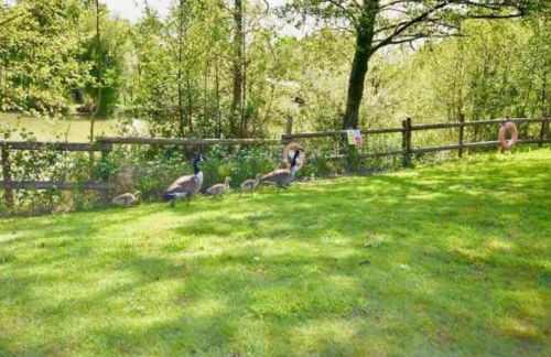 19 Carters Paddock - Foto 6